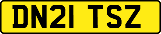DN21TSZ