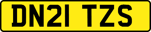 DN21TZS