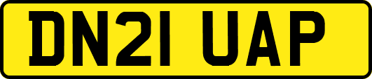 DN21UAP