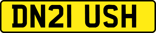 DN21USH