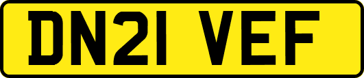 DN21VEF