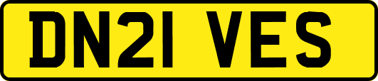 DN21VES