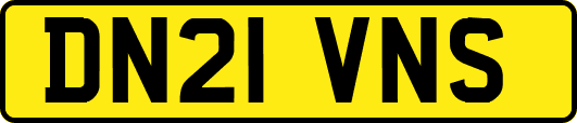 DN21VNS