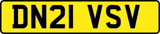 DN21VSV
