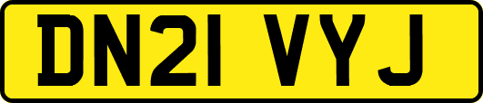 DN21VYJ