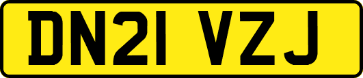 DN21VZJ