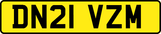 DN21VZM