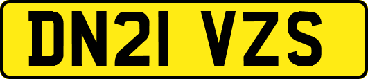 DN21VZS