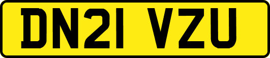 DN21VZU