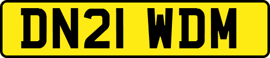 DN21WDM