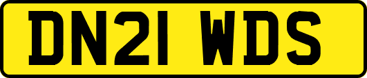 DN21WDS