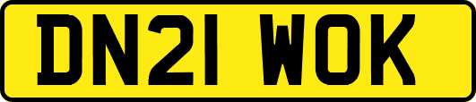 DN21WOK