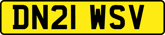 DN21WSV