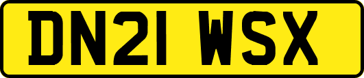 DN21WSX