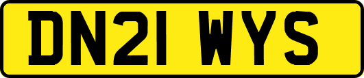 DN21WYS
