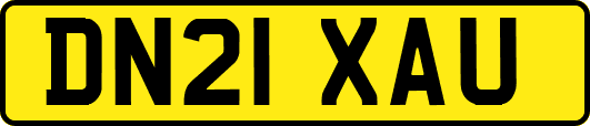 DN21XAU