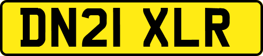 DN21XLR