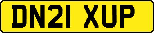 DN21XUP
