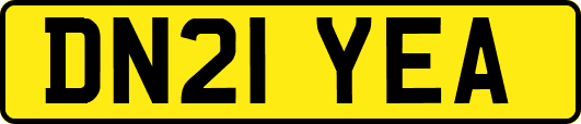DN21YEA