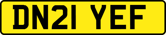 DN21YEF