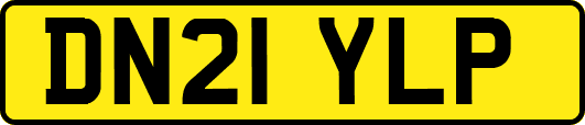 DN21YLP