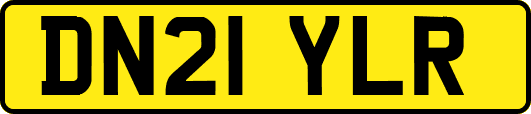 DN21YLR