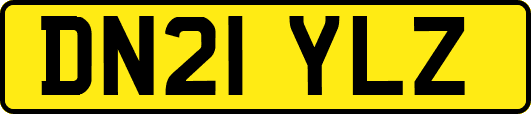 DN21YLZ