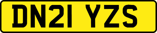 DN21YZS