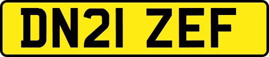 DN21ZEF