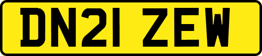 DN21ZEW