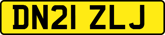 DN21ZLJ