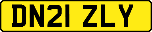 DN21ZLY