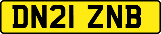 DN21ZNB