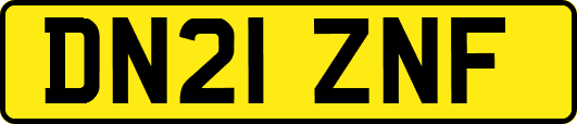 DN21ZNF
