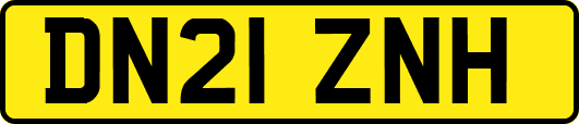 DN21ZNH
