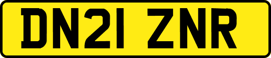 DN21ZNR