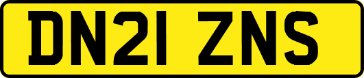 DN21ZNS