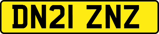 DN21ZNZ
