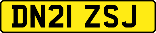 DN21ZSJ