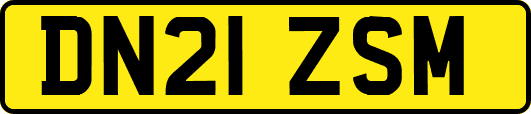 DN21ZSM