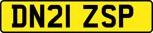 DN21ZSP