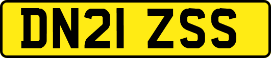DN21ZSS