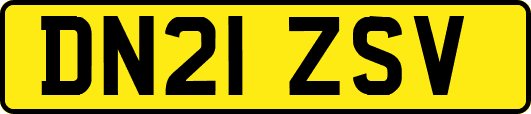 DN21ZSV