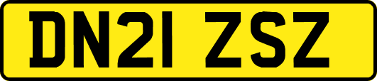 DN21ZSZ