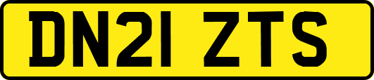 DN21ZTS
