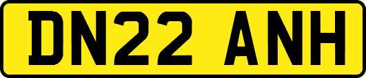 DN22ANH