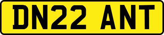 DN22ANT