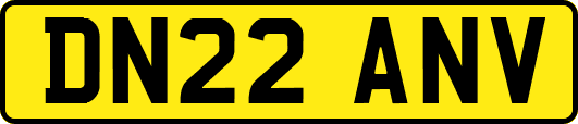 DN22ANV