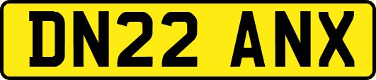 DN22ANX