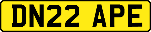 DN22APE